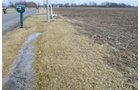 Property photo 5 - East Allen County Land Auction - 40 Acres in 2 Tracts